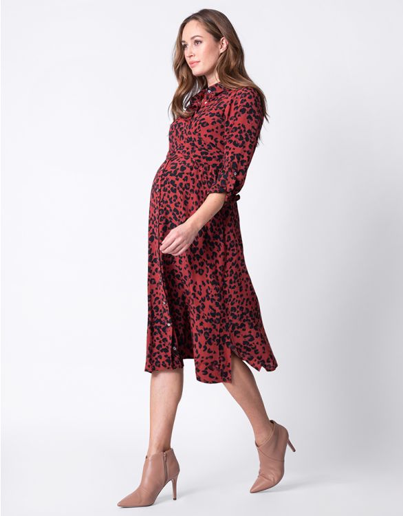 Image for Red Animal Print Maternity & Nursing Dress
